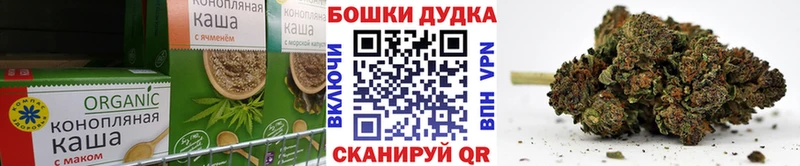 магазин продажи наркотиков  Будённовск  Cannafood конопля 