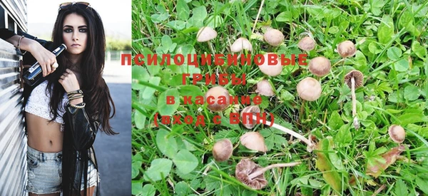 спайс Беломорск