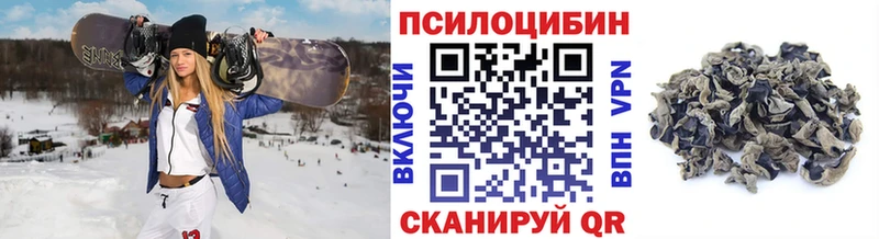 Галлюциногенные грибы GOLDEN TEACHER  shop формула  Будённовск  закладка 